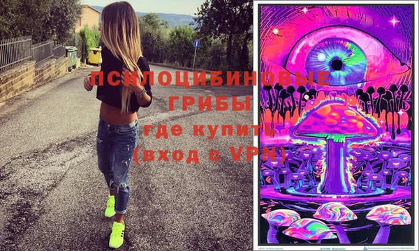 стафф Михайловка