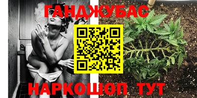 сатива Гатчина