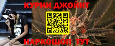сатива Гатчина