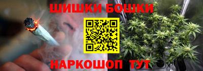 сатива Гатчина