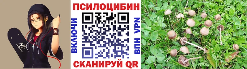 Галлюциногенные грибы Psilocybe  MEGA ссылка  Дубна 