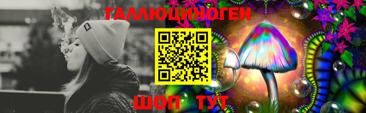 Галлюциногенные грибы Psilocybine cubensis  Дубна 