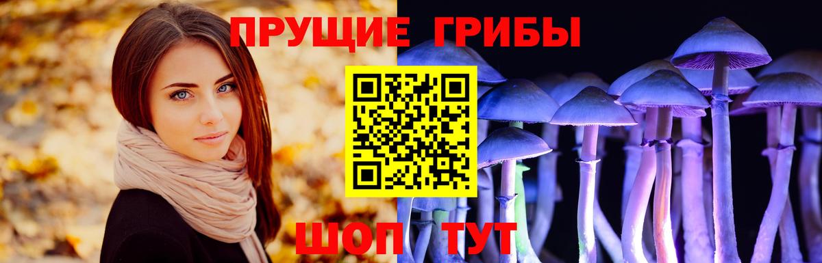 Дубна  Галлюциногенные грибы мухоморы  Вход с VPN 
