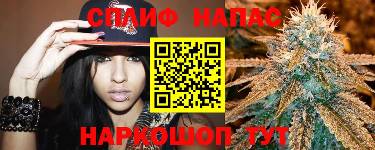 Бошки марихуана сатива Дубна